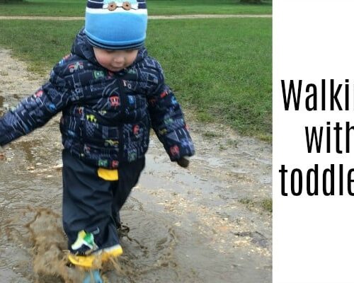 Walking With Toddlers