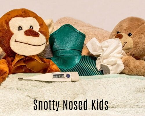 Snotty Nosed Kids