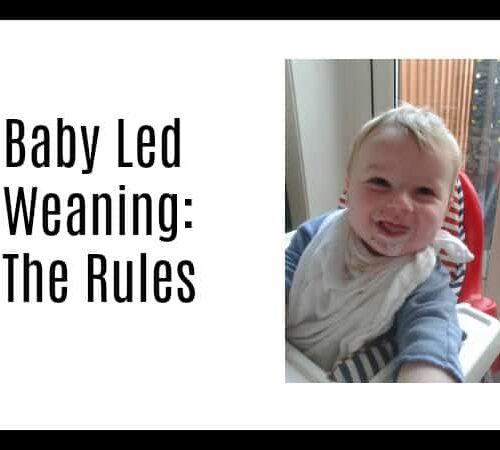 Baby Led Weaning – The Rules