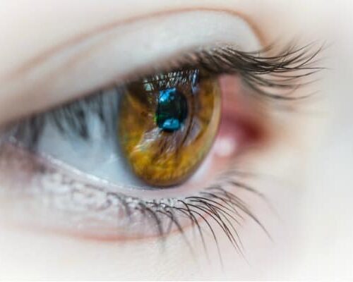 How Many Eyes do You Need For The School Run?