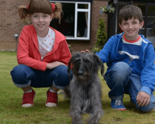Is Topsy’s Hair a Wig? – And Other Burning Questions About Topsy & Tim