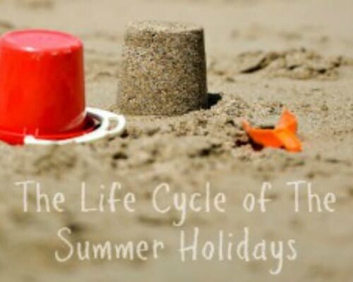 The Life Cycle of The Summer Holidays