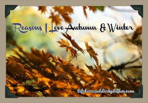 10 Reasons I Love Autumn & Winter