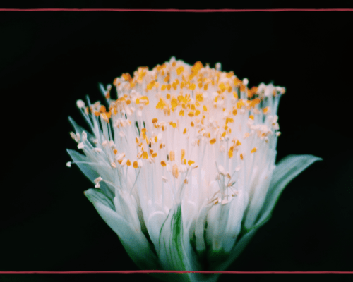 10 Things Only Hay Fever Sufferers Will Know