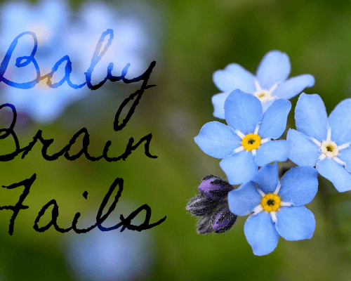 Epic Baby Brain Fails