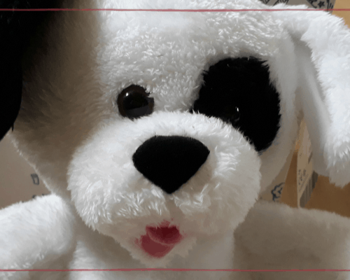 5 Reasons Why You Should Never Shop in Build-a-Bear Workshop Without Kids
