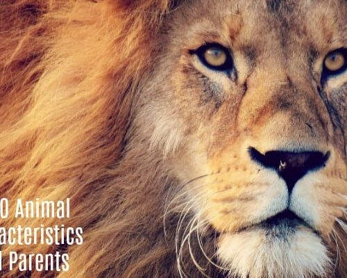 The 10 Animal Characteristics of All Parents