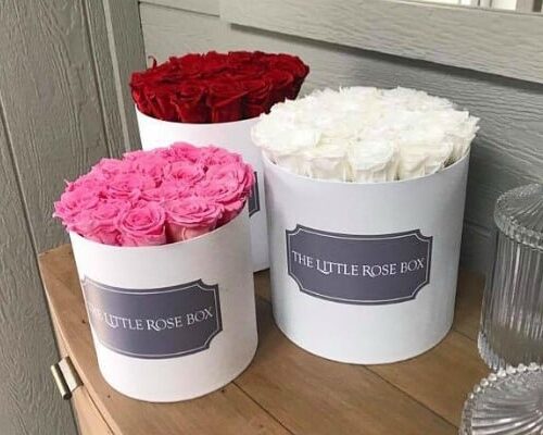 Mothers Day Gift Ideas