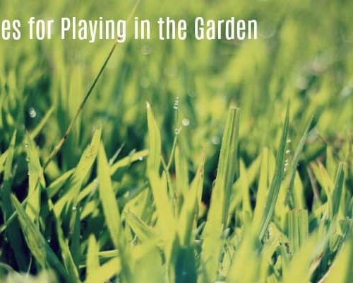 Rules for Playing in The Garden