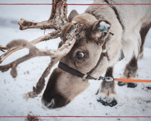 Planning a Winter Family Holiday