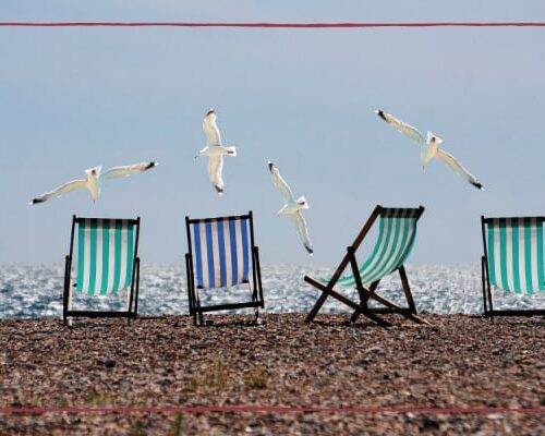 Family holiday disasters