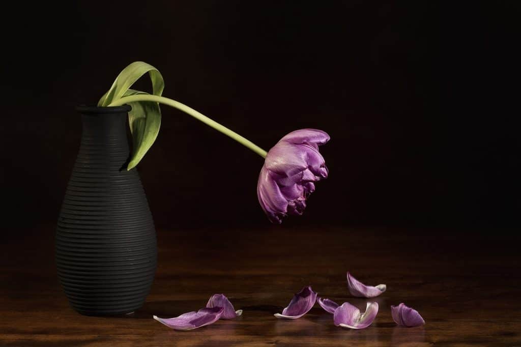Ditching the mum guilt