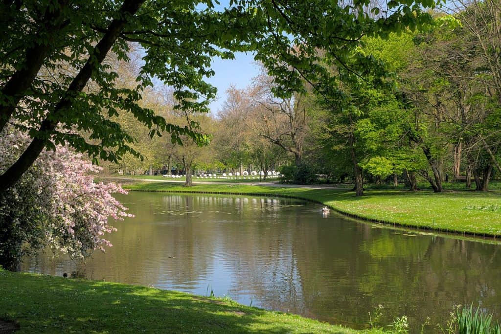 Het Park Rotterdam