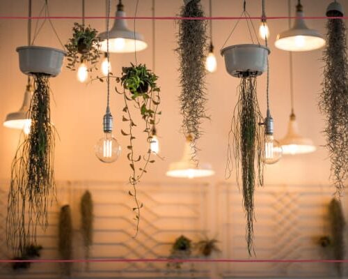 5 Home Décor Ideas to give your interiors a unique touch