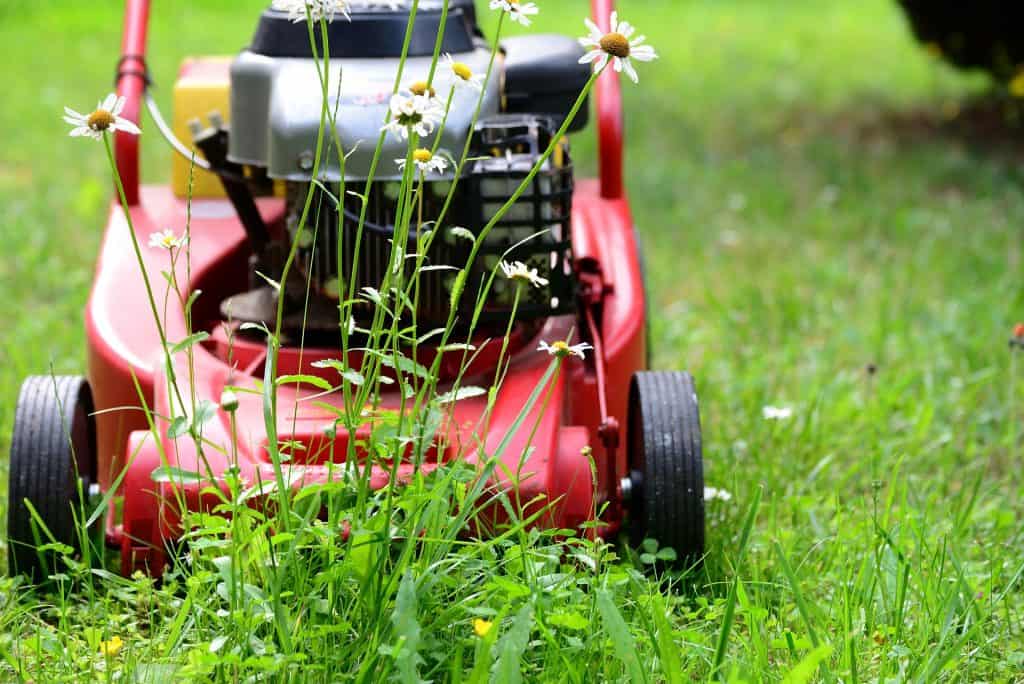 Six Easy Ways to Get Your Home Summer-Ready