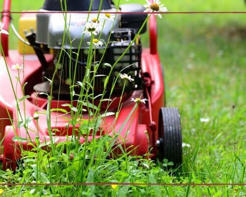 Six Easy Ways to Get Your Home Summer Ready
