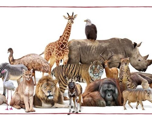 Gifts for animal lovers of all ages