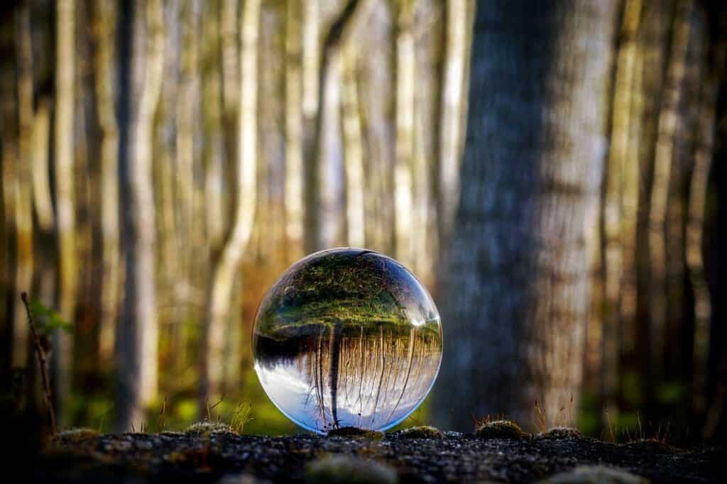 5 Minute Daily Mindfulness Activities image shows a blurred background of lots of tree trunks in a forest.  Front and centre of the image is a glass ball with the tree trunks reflections clear.  The image creates a feeling of calm and back to nature.