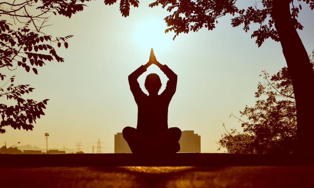 stress-free life