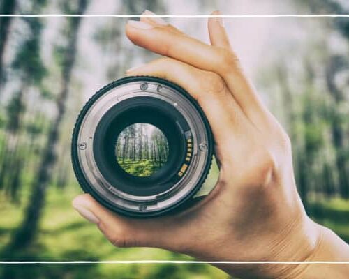 How to Take a Perfect Photo to Display in Your Home 
