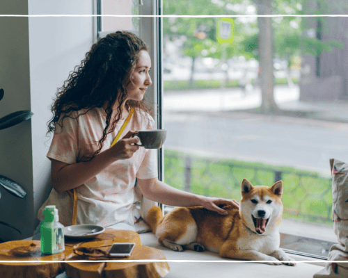 Sustainable Living – 6 Budget-Friendly Home Upgrades 