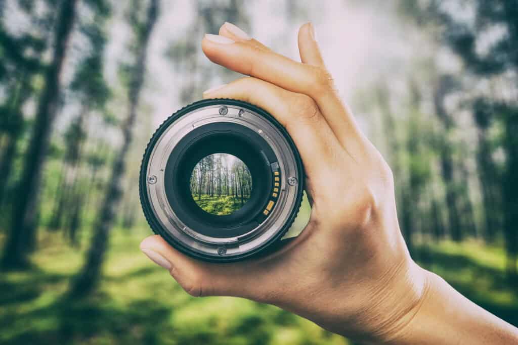 take a perfect photo