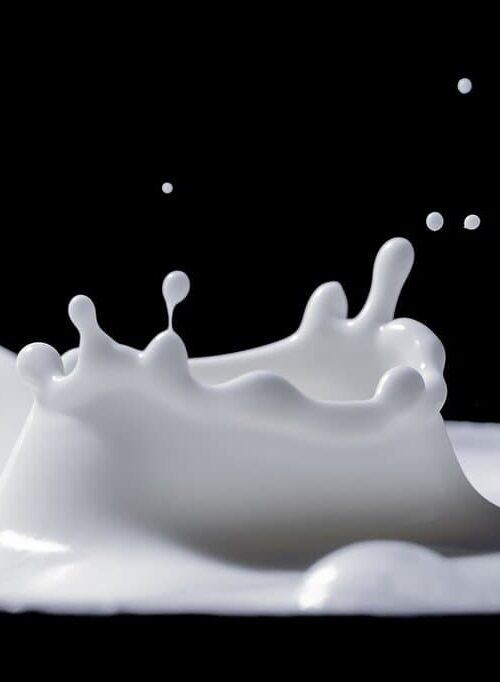 Drinking Milk: How Healthy Is It Really? 