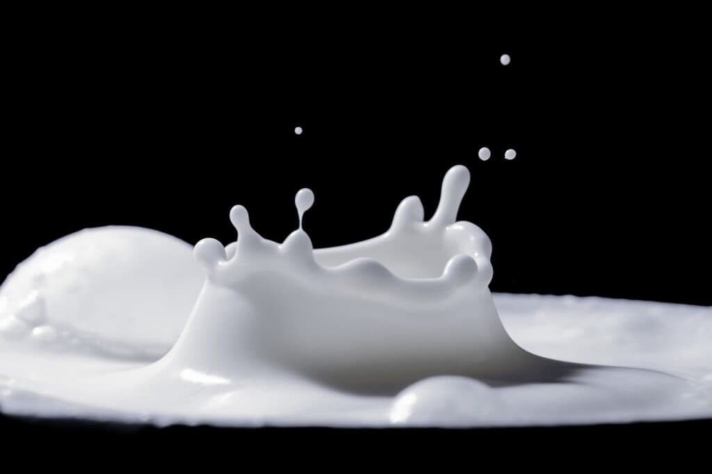 is milk healthy