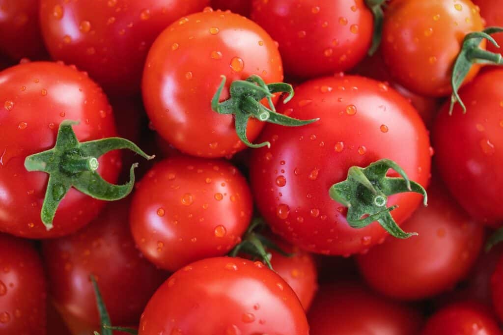 teaching your child about the importance of a healthy diet