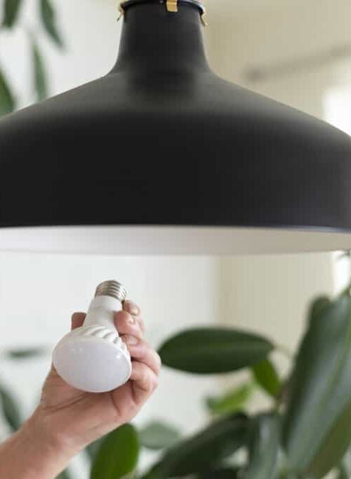 Greening Your Home: Sustainable Renovation Tips for Modern Living