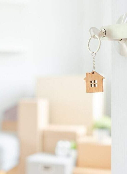Stress-free moving: Tips for staying organised and ensuring a smooth relocation 