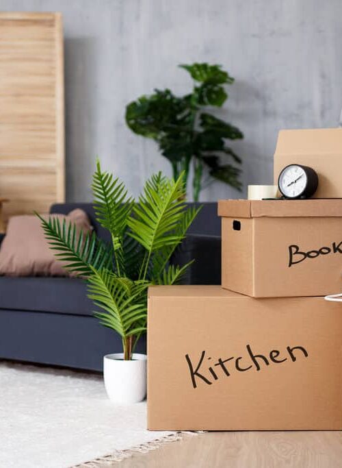 Moving Day Hacks: Save Time and Money with These Expert Tips