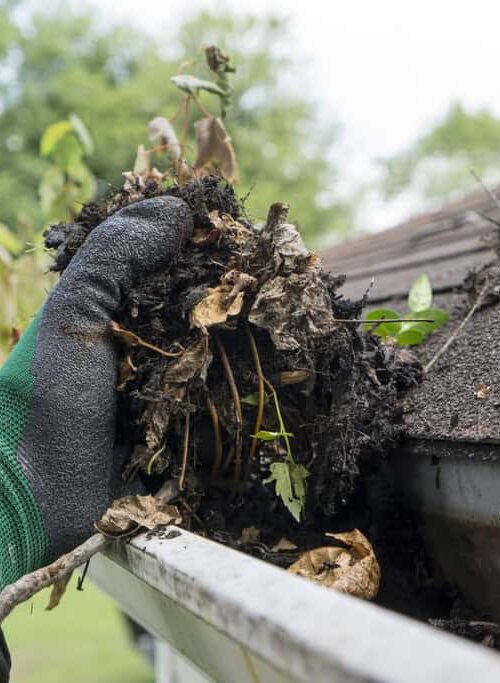 Best Gutter Cleaning Companies in Kilmarnock