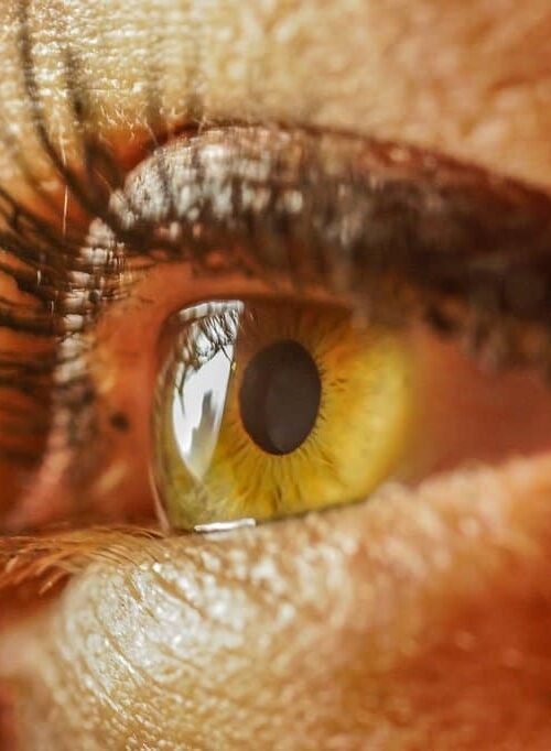 When Is It Time to Replace Your Glasses Lenses: Key Signs to Watch For