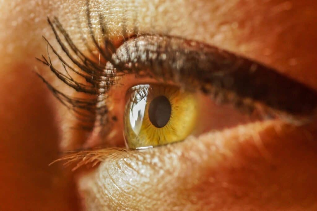 replace your glasses lenses