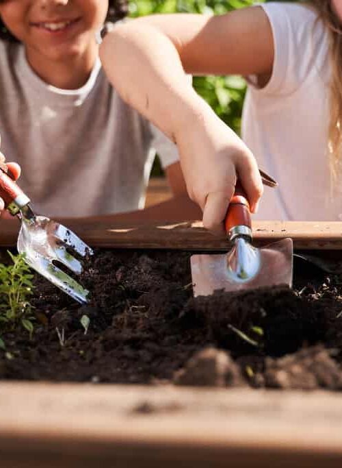How Can You Transform Your Outdoor Space from a Backyard Jungle to a Family Haven?