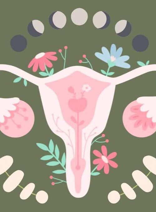 The Benefits of Cycle Syncing for Hormonal Balance