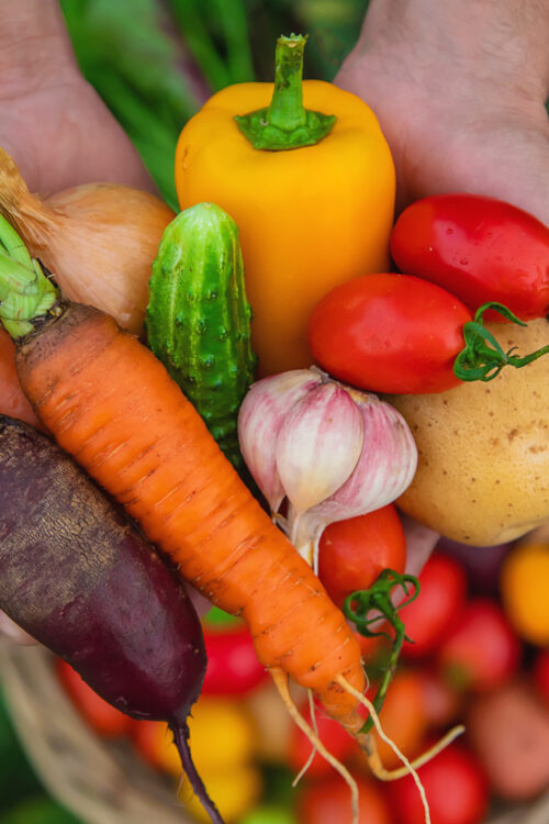 How to start growing your own vegetables at home 