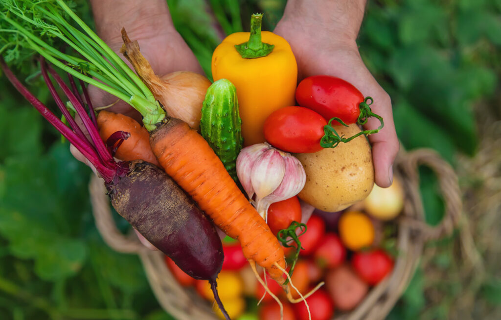 growing your own vegetables at home