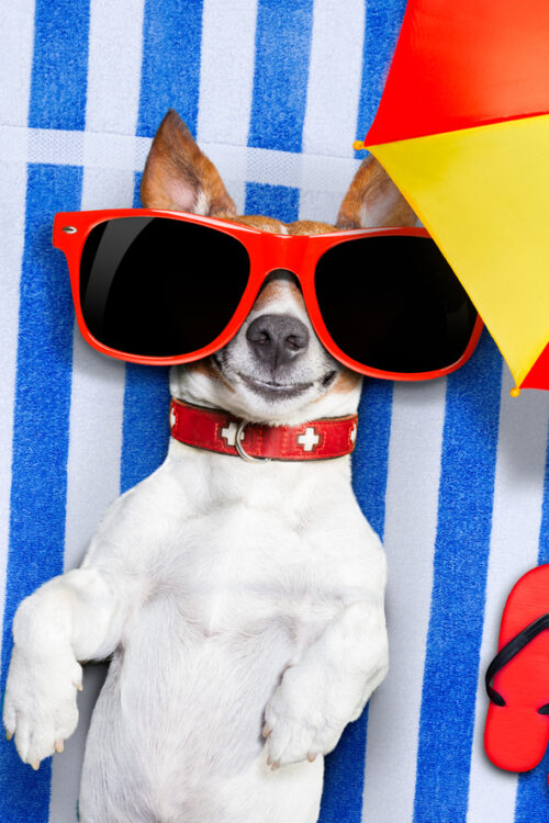 Tips for Actually Relaxing at the Beach 