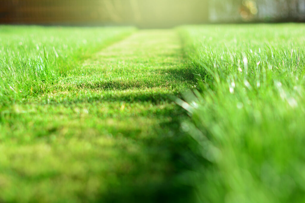mower that works for you