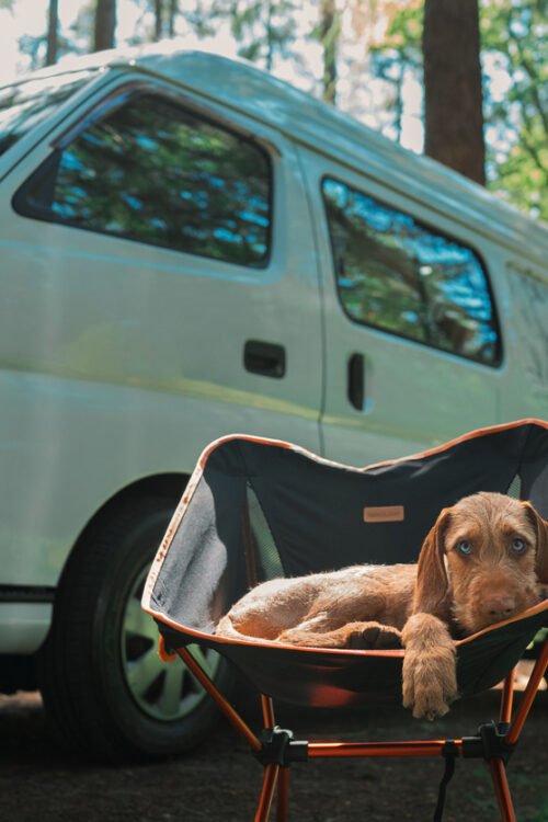 What to Look for When Buying a Used Motorhome 