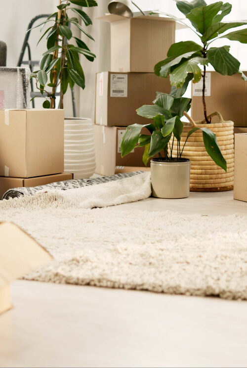  Essential Tips for Relocating with Your Family