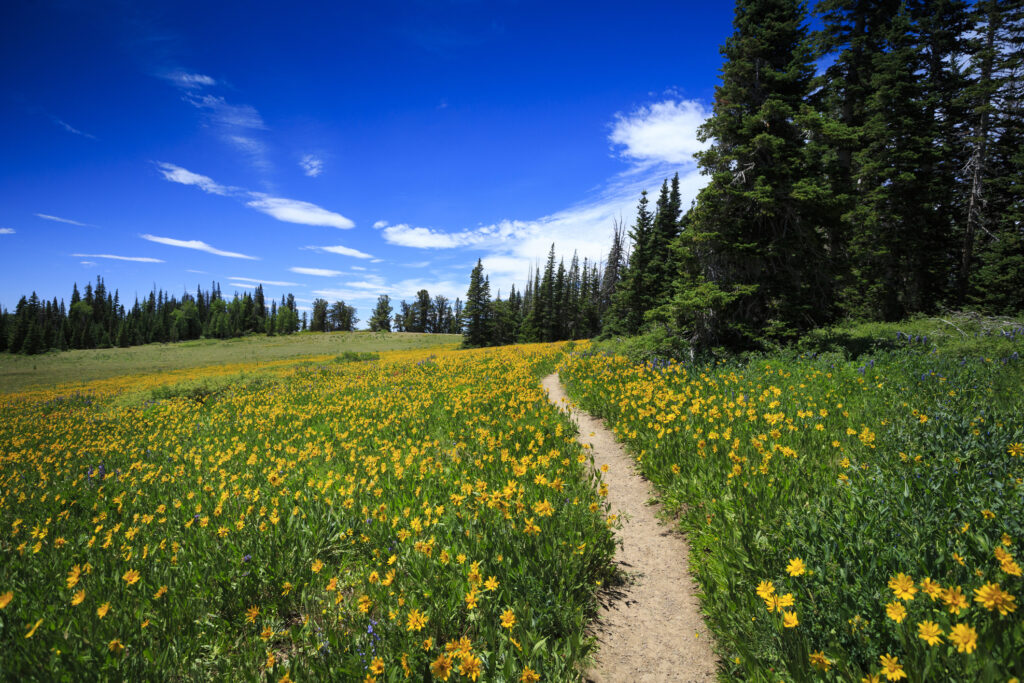 places to live in Utah
