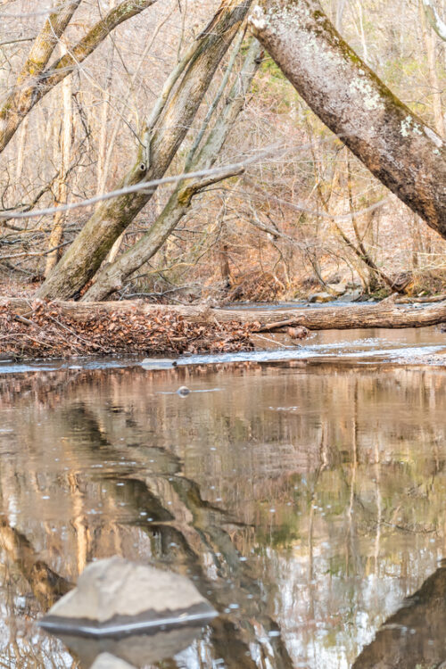 Visiting Herndon, Virginia? Don’t Leave Without Trying These 9 Things 