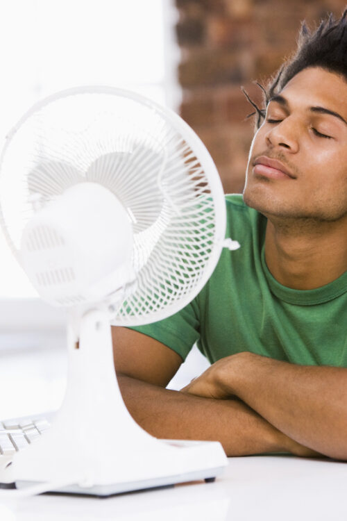 Bladeless Desk Fans vs. Traditional Fans: Key Differences in Performance