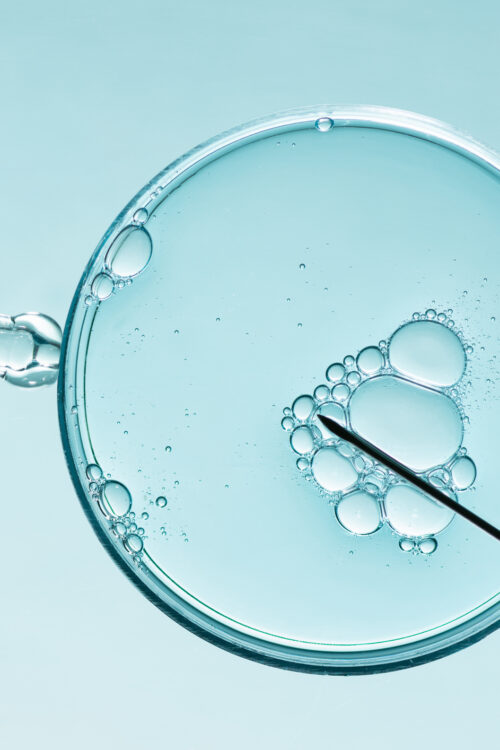 How to choose an IVF clinic in Barcelona: a guide for patients from the UK