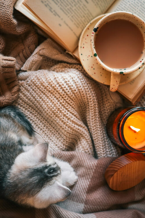 Redecorating this Summer, and How You Can Make Your Home a Sanctuary 
