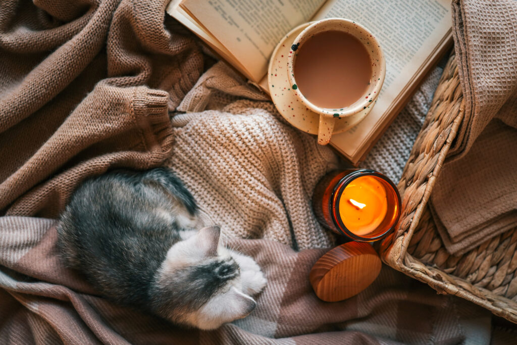 home a sanctuary