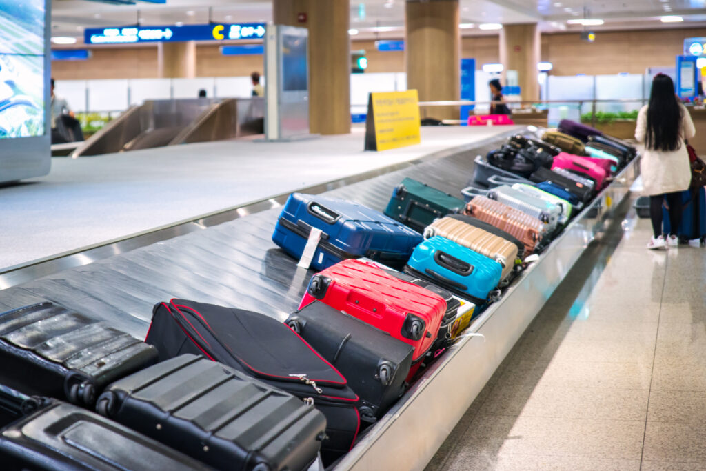 what does a carry-on bag look like?
